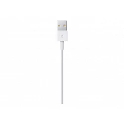 Apple - Cable Lightning - Lightning macho a USB macho