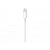 Apple - Cable Lightning - Lightning macho a USB macho