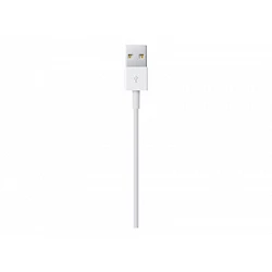 Apple - Cable Lightning - Lightning macho a USB macho