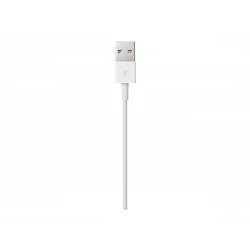 Apple - Cable Lightning - Lightning macho a USB macho