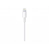 Apple - Cable Lightning - Lightning macho a USB macho