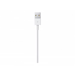 Apple - Cable Lightning - Lightning macho a USB macho