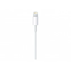 Apple - Cable Lightning - Lightning macho a USB macho