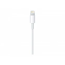 Apple - Cable Lightning - Lightning macho a USB macho