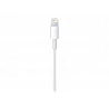 Apple - Cable Lightning - Lightning macho a USB macho