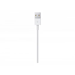 Apple - Cable Lightning - Lightning macho a USB macho