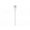 Apple - Cable Lightning - Lightning macho a USB macho