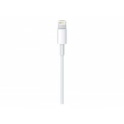 Apple - Cable Lightning - Lightning macho a USB macho