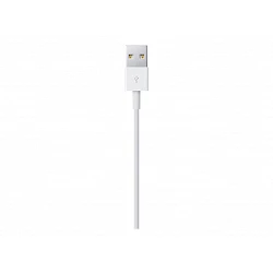 Apple - Cable Lightning - Lightning macho a USB macho