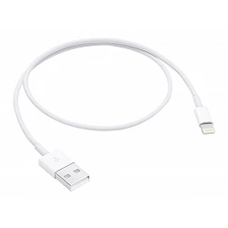 Apple - Cable Lightning - Lightning macho a USB macho