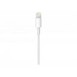 Apple - Cable Lightning - Lightning macho a USB macho