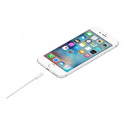 Apple - Cable Lightning - Lightning macho a USB macho