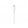 Apple - Cable Lightning - Lightning macho a USB macho