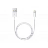 Apple - Cable Lightning - Lightning macho a USB macho