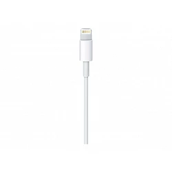 Apple - Cable Lightning - Lightning macho a USB macho