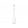 Apple - Adaptador Lightning - 24 pin USB-C macho a Lightning hembra