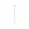 Apple - Adaptador Lightning - 24 pin USB-C macho a Lightning hembra