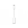 Apple - Adaptador Lightning - 24 pin USB-C macho a Lightning hembra