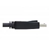 Eaton Tripp Lite Series DisplayPort Extension Cable with Latch, 4K @ 60 Hz, HDCP 2.2 (M/F),10 ft. (3.05 m)