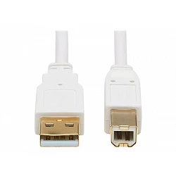 Eaton Tripp Lite Series Safe-IT USB 2.0 A to B Antibacterial Cable (M/M), White, 6 ft. (1.83 m)