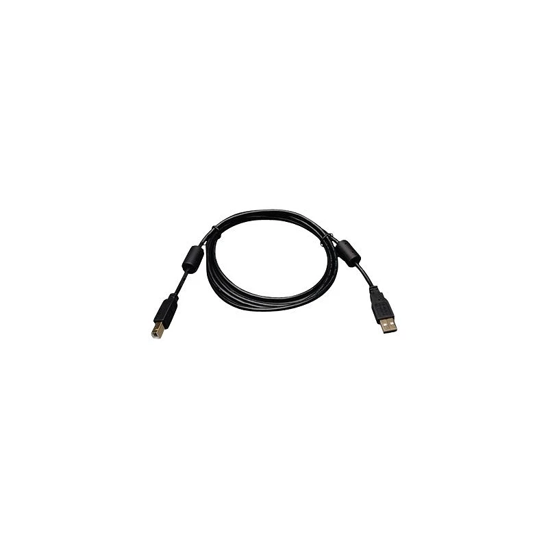 Eaton Tripp Lite Series USB 2.0 A to B Cable with Ferrite Chokes (M/M), 6 ft. (1.83 m)