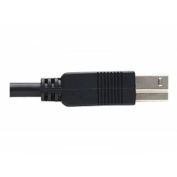 Tripp Lite USB 3.2 Gen 1 Plenum-Rated Fiber Active Optical Cable (AOC)