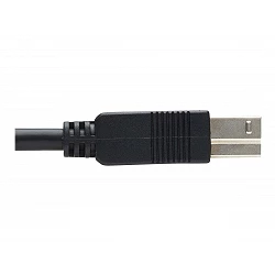 Tripp Lite USB 3.2 Gen 1 Plenum-Rated Fiber Active Optical Cable (AOC)