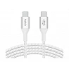 Belkin BoostCharge - Cable USB - 24 pin USB-C (M) a 24 pin USB-C (M)