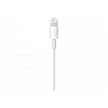 Apple USB-C to Lightning Cable - Cable Lightning