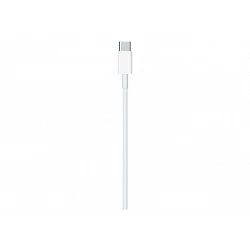 Apple USB-C to Lightning Cable - Cable Lightning