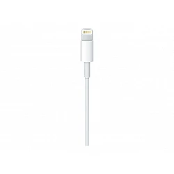 Apple USB-C to Lightning Cable - Cable Lightning