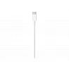 Apple USB-C to Lightning Cable - Cable Lightning