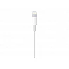 Apple USB-C to Lightning Cable - Cable Lightning