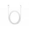 Apple USB-C to Lightning Cable - Cable Lightning