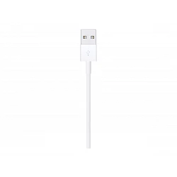 Apple - Cable Lightning - Lightning macho a USB macho