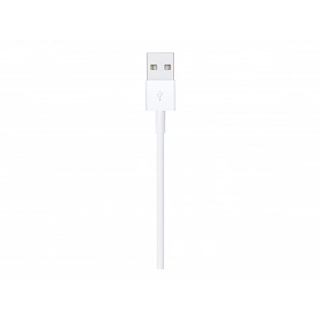 Apple - Cable Lightning - Lightning macho a USB macho