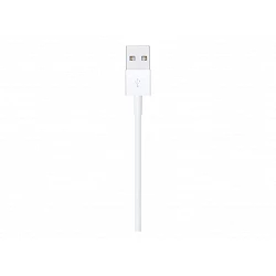 Apple - Cable Lightning - Lightning macho a USB macho