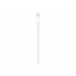 Apple - Cable Lightning - Lightning macho a USB macho