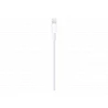 Apple - Cable Lightning - Lightning macho a USB macho