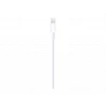 Apple - Cable Lightning - Lightning macho a USB macho