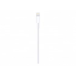 Apple - Cable Lightning - Lightning macho a USB macho