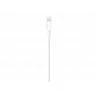 Apple - Cable Lightning - Lightning macho a USB macho