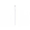 Apple - Cable Lightning - Lightning macho a USB macho