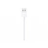 Apple - Cable Lightning - Lightning macho a USB macho