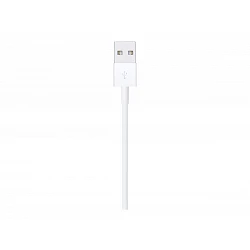 Apple - Cable Lightning - Lightning macho a USB macho