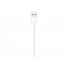 Apple - Cable Lightning - Lightning macho a USB macho