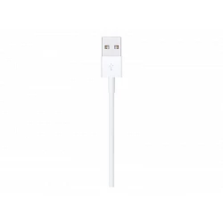 Apple - Cable Lightning - Lightning macho a USB macho