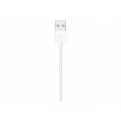 Apple - Cable Lightning - Lightning macho a USB macho