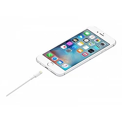 Apple - Cable Lightning - Lightning macho a USB macho