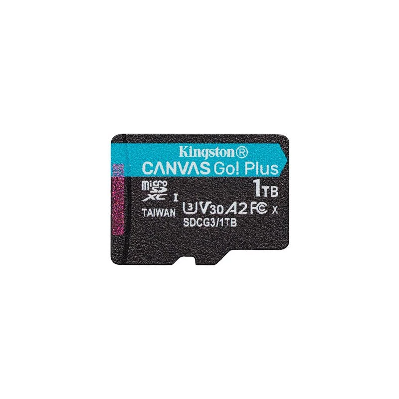 Kingston Canvas Go! Plus - Tarjeta de memoria flash